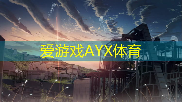爱游戏平台,体操服专用胸垫